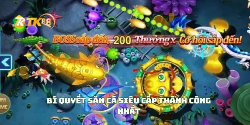 Bí Quyết Săn Cá Siêu Cấp Thành Công Nhất!