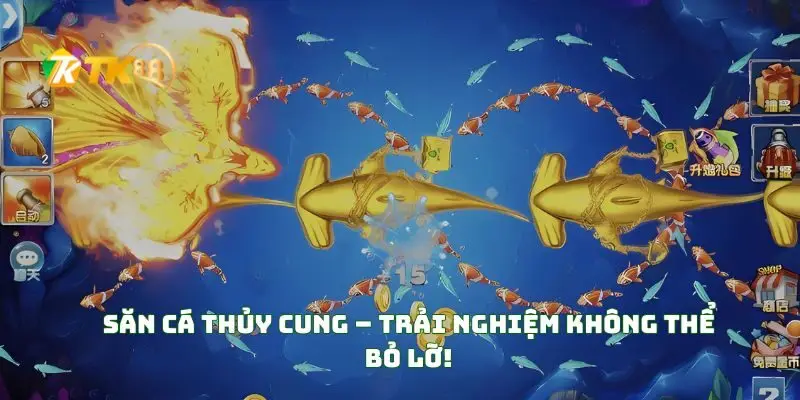 Săn Cá Thủy Cung – Trải Nghiệm Không Thể Bỏ Lỡ!