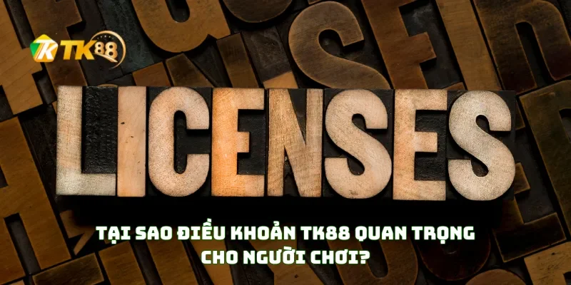 Tại Sao Điều Khoản TK88 Quan Trọng Cho Người Chơi?